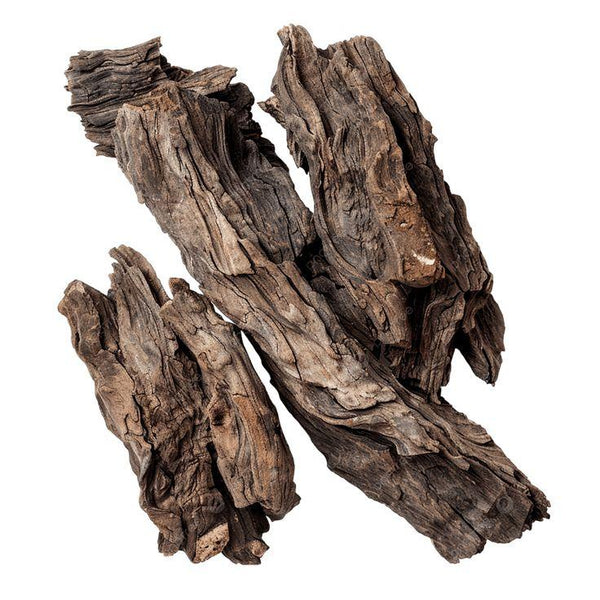Oud