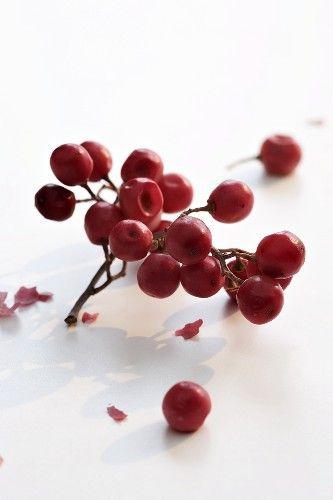 Pink Pepper